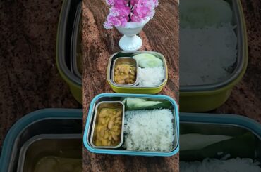 Healthy Lunch Box Idea #viral #food #lunchbox #rajmachawal #shorts #viralvideo #shortsviral #cooking