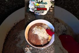 110 Calorie Chocolate Banana Bread That Actually Tastes Good #recipe #healthy #proteinbread