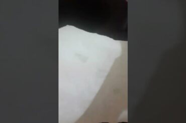 Day 6# healthy lunch box#shorts video # kids lunch box#ytshorts