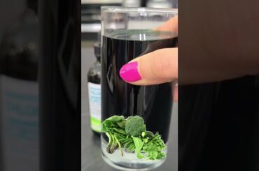 Chlorophyll Water For Weight Loss | Liquid Chlorophyll Benefits #SHORTS