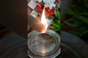 bay leafs tips#ytshorts#yt#secrethacks#tips#shorts#hacks#viralplzz#kitchentips