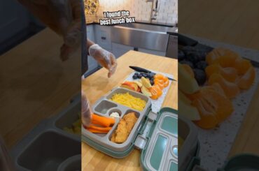 Toddler Lunch Box That Actually Gets Eaten #kidslunchbox #recipes #momtips #asmr