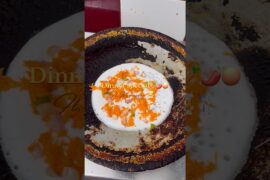 Healthy dinner carrot onion chilly uthappam comes dosa #healthydinner #cookingvideo #shorts #cooking