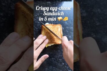 Egg Cheese Sandwich Recipe | The Childhood Plate | Crispy Healthy Breakfast Recipe