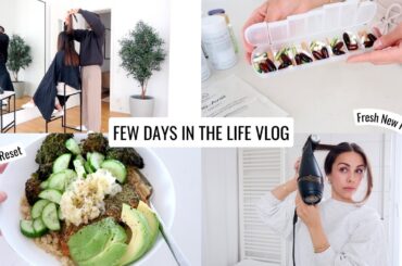 VLOG | Sugar Reset, New Hair Cut & Fresh Healthy Recipes | Annie Jaffrey