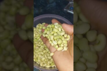 roti chawal kea li aa super recipe #healthy #tasty #food #shorts #cooking #recipe #easy #viral