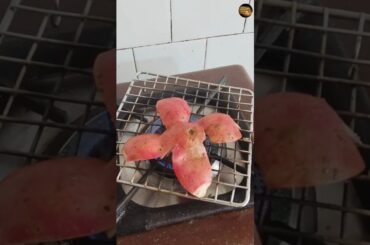 Benefits Of Pomegranate Peels #shorts #ayurved #food #recipe #health #viral