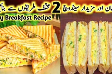Quick & Easy Chicken Sandwich Recipe,2 Types Bread Sandwich Recipes,Chicken Sandwich,Egg Sandwich