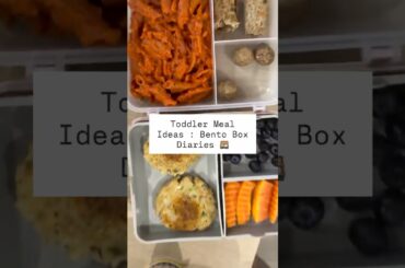 What My Toddler Eats in a Day| Tiffin Ideas | School Lunch Prep | Bento Box for Kids #shorts #baby