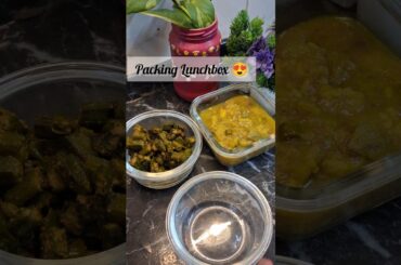 Lunchbox Ideas #tiffin #lunch #shorts #trending #lunchboxideas #homemade #husband #healthy #food