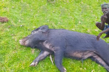 VILLAGE PORK RECIPE | Traditional Healthy Food |  Village Grandpa | Fish Mull Soup | Length Videos