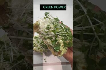 Quick & Healthy: Edamame Pesto Toast: High Protein Plant-Based Recipe!