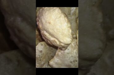 #fluffy poori #children #favorite #cooking #wheat #healthy #easy #breakfast #chef #deena #kitchen