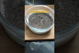 Banana coffee chia pudding #pudding #healthy #breakfast #ideas #easyrecipe #recipe #shorts #ytshorts