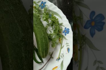 Tasty and healthy sprouts #eathealthy