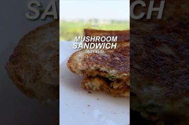 Mushroom Sandwich | 20g Protein