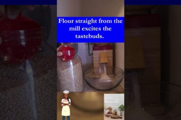 Milling Flour with my @NutriMill  | #freshlymilledflour #flour #bread