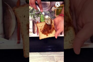 Street style veg-egg malai sandwich #desi tiffin recipe  #youtubeshorts #youtubefeed #ashortaday