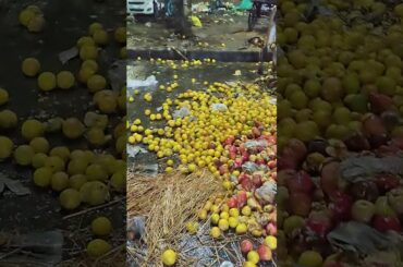 fruits market  - waste fruit |  koyambedu - fruit market wholesale and retail #fruits