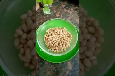 healthy snacks healthy breakfast #shorts #shortsfeed #trending #ytshorts #schooltiffinbox #recipe