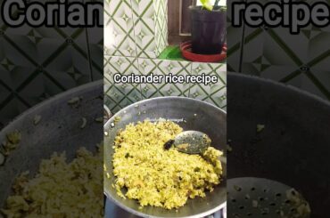 coriander rice recipe #kidslunchbox #lunchbox #lunchboxrecipe #healthylunch #coriander #varietyrice