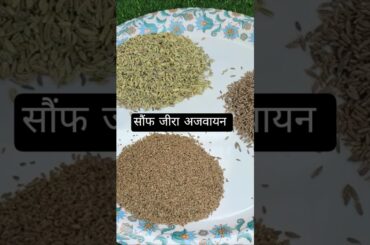 Saunf Jeera Ajwain Powder |Subhash Goyalke AnusarPerfect for Digestion & WeightLoss #Shorts