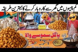 Best Pakistani Street Food ! New Business Ideas With Zero Investment ! Samosa Business Recipe #ideas