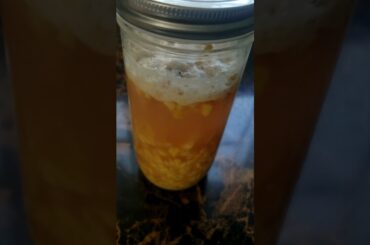 Make Gut Healthy Ginger Bug for Natural Soda