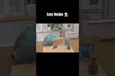 Parrot food recipe meal prep for birds parrotlet budgie lovebird #harrisonsbirdfoods #ad