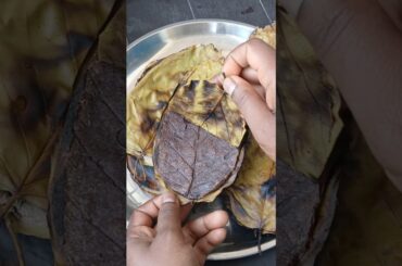 Healthy Ragi Roti Recipe in Sal leaf |Ragi Roti Recipe|#shorts#recipe #ragi#ragipattaroti#viralshort