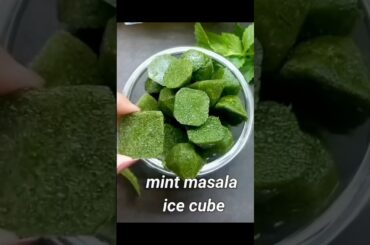 Mint beat the heat #viral #viralvideo #short #shortsfeed #food #recipe #health #healthy#foodie
