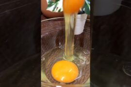 Easy Egg Wrap | No Carb | Low Calorie Breakfast in 5 Minutes