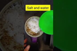 #Millet Dosa | Jowar + Brown Rice Healthy Breakfast #shorts