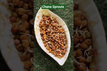 Healthy Chana Sprouts #health #healthtips #sproutschaat #shorts #ytshorts