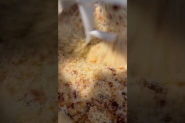 DIY Brown Sugar - plastic free, low waste alternative #shorts