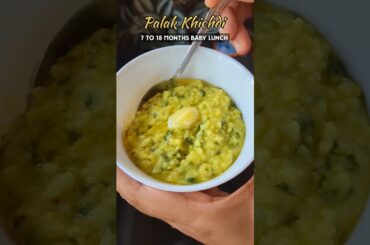 7 to 18 Months Baby Lunch | Palak Khichdi for Babies & Toddlers #shorts #baby #toddlers #quickrecipe