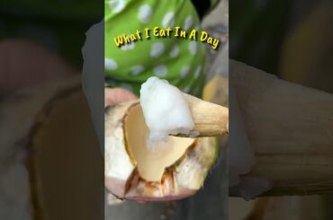 What I Eat In A Day #shorts #food #whatieatinaday #nonveg #minivlog #ashortaday #hindi #indianfood