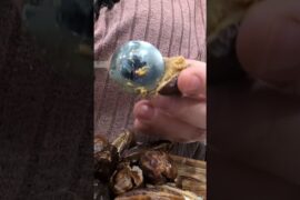 Healthy snickers bar!! #dessert #chocolate #chocolatebar #datessweet #peanutbutter #foodie #snacks