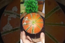 Healthy Tips By Acharya Manish ji #ytshorts #exploreislam #recipe #fruits #muskmelon #healthy