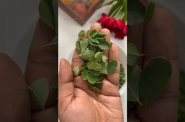 Moringa Leaves Thovayal | Traditional South Indian Healthy Chutney