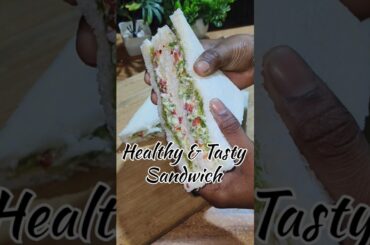 Healthy Sandwich Recipe | #shorts #ytshorts #sandwich #trending @SalonisDesiZaika76