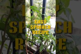 Cheera Thoran | Spinach Recipe #cooking  #food #recipe#spinach #cheerathoran #healthy