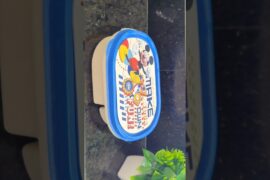 kids snacks box idea #kidssnacksbox #snacksbox #snacks #kidssnacksboxidea #snacksboxidea