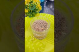 30 Days Challenge | Morning Drink #healthy #drink #dryfruits #shorts #yt #recipe #food #viralvideo