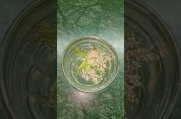 Body Detox Water By Manav Health #food #healthtips#ayurveda #shorts#viral #bodydetox #recipe#facts