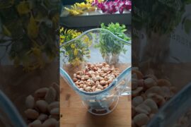 Homemade peanut butter/ healthy recipes #peanutbutter #homemade #heathyrecipe #neetikitchenvlogs