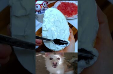 mango dessert2026 | healthy snack|#shorts