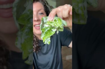 Low Calorie High Protein Dressing 110 Calories Total! | Easy Vegan Sauce