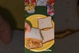 Tasty Veg Sandwich at Home | Healthy & Delicious#sifatthecookinggirl #indianfood