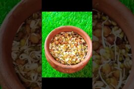 Healthy Breakfast Fruits Recipes By Acharya Manish Ji's #short #fruits #acharyamanishji #healthyfood